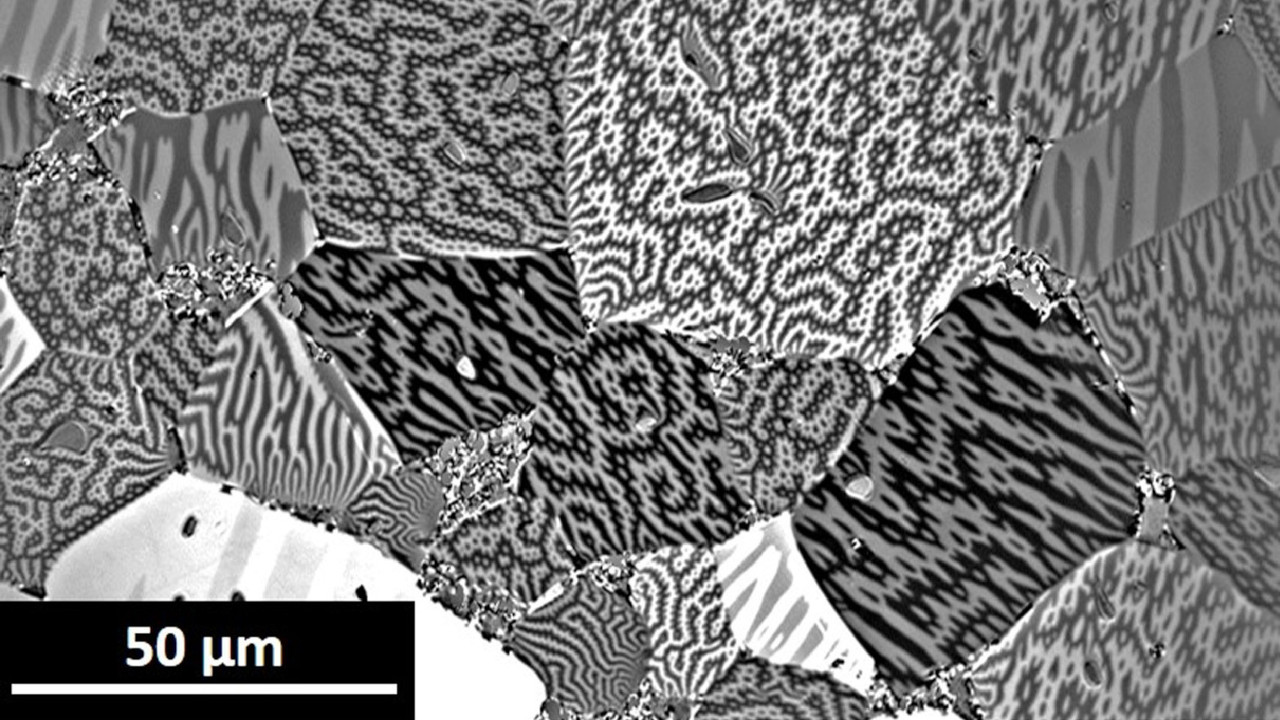 Microscopic image of magnetic domains: they form patchwork-like patterns in different shades of gray.